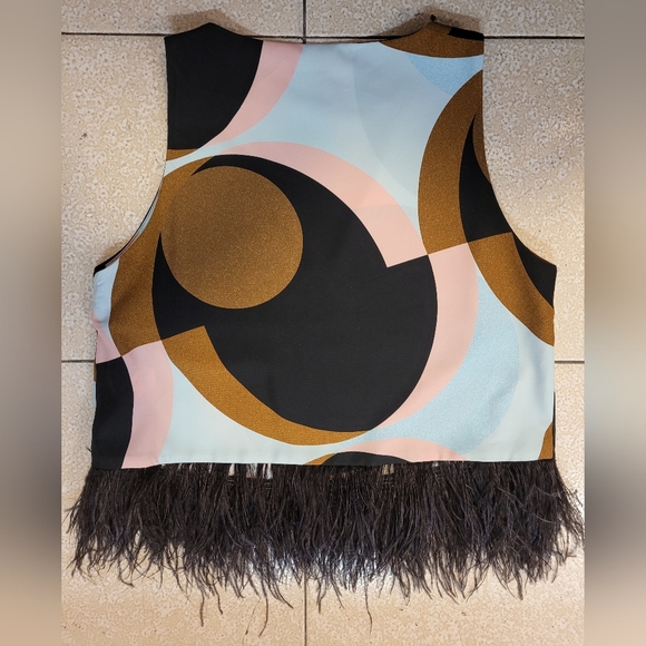 Zara Multicolor Graphic Feather-Hem Crop Top Size Large - Picture 6 of 8